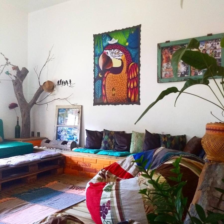Katsbarnea Hostel Florianópolis Eksteriør bilde