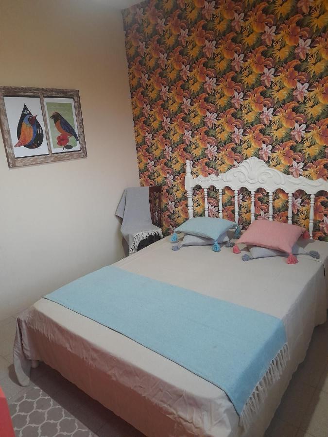 Katsbarnea Hostel Florianópolis Eksteriør bilde