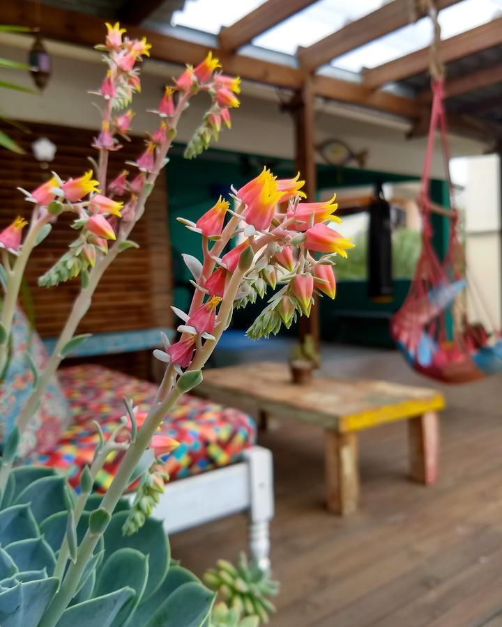 Katsbarnea Hostel Florianópolis Eksteriør bilde